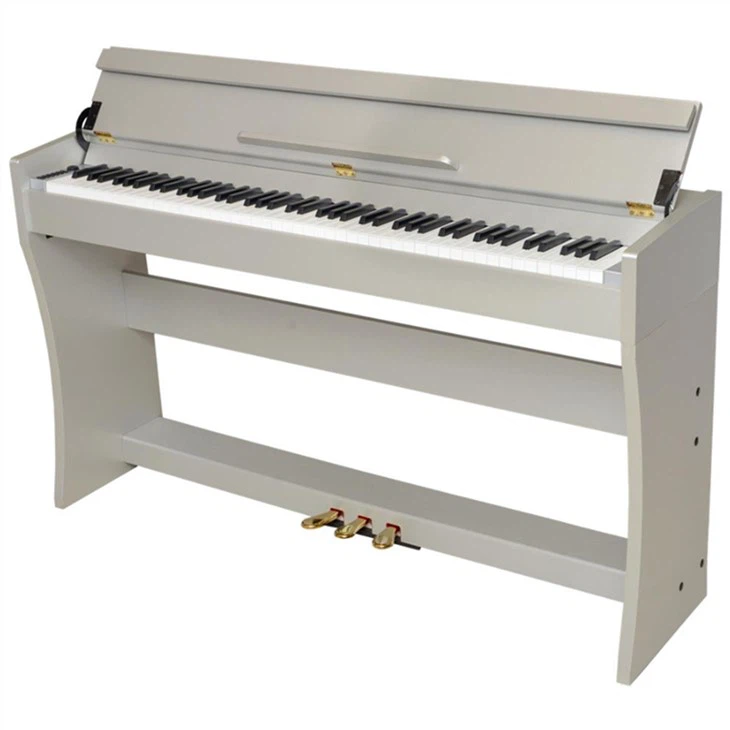 Piano Digidol Hammer Unionsyth